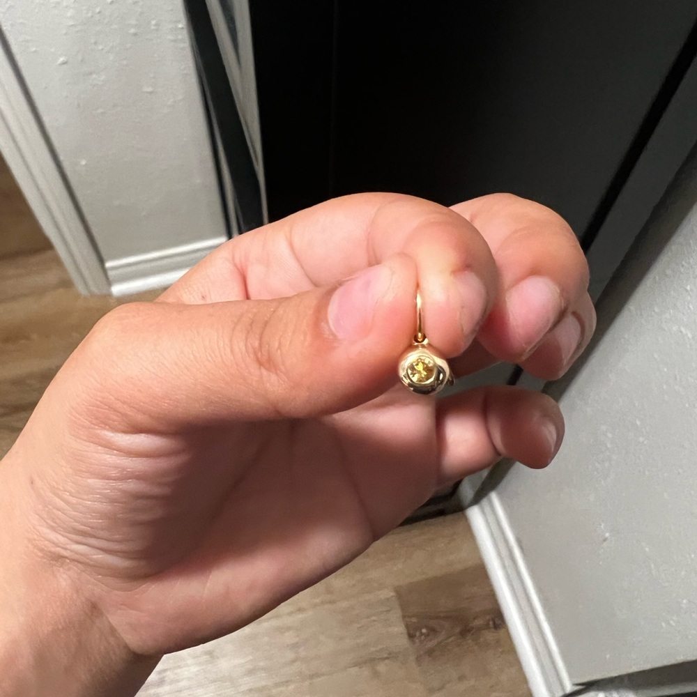 mejuri 14k solid gold charm